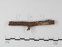 登錄號:F0001286藏品圖，第1張
