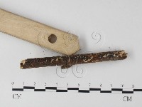 登錄號:F0001286藏品圖，第4張