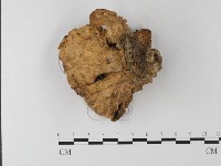 登錄號:F0001287藏品圖，第1張