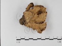 登錄號:F0001287藏品圖，第3張