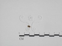 登錄號:F0001289藏品圖，第1張
