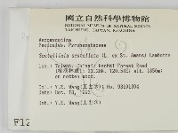 登錄號:F0001290藏品圖，第2張
