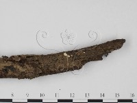 登錄號:F0001290藏品圖，第3張