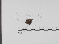 登錄號:F0001292藏品圖，第1張