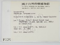 登錄號:F0001294藏品圖，第2張