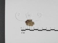 登錄號:F0001294藏品圖，第1張