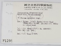 登錄號:F0001295藏品圖，第2張