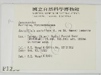 登錄號:F0001296藏品圖，第2張