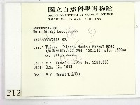 登錄號:F0001297藏品圖，第2張