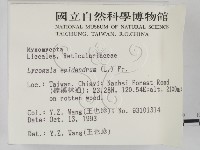 登錄號:F0001298藏品圖，第2張