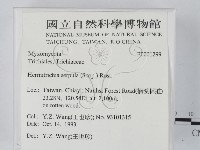 登錄號:F0001299藏品圖，第2張