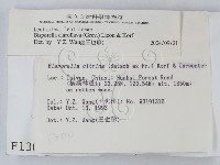 登錄號:F0001300藏品圖，第2張