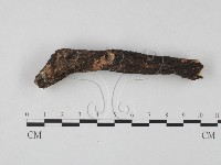 登錄號:F0001300藏品圖，第1張