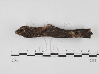登錄號:F0001300藏品圖，第3張