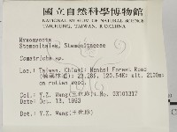 登錄號:F0001301藏品圖，第2張