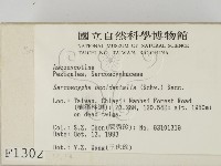 登錄號:F0001302藏品圖，第2張
