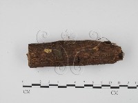 登錄號:F0001302藏品圖，第1張