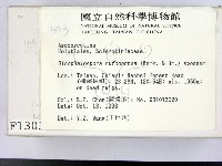 登錄號:F0001303藏品圖，第2張