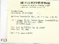 登錄號:F0001304藏品圖，第2張