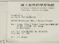登錄號:F0001305藏品圖，第2張