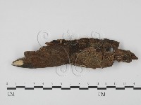 登錄號:F0001305藏品圖，第1張