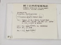 登錄號:F0001306藏品圖，第2張