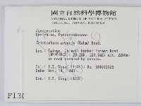 登錄號:F0001307藏品圖，第2張