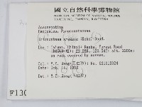 登錄號:F0001308藏品圖，第2張