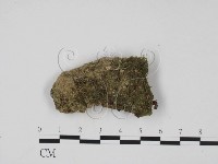 登錄號:F0001308藏品圖，第1張