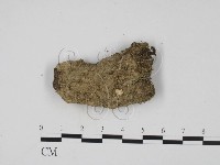 登錄號:F0001308藏品圖，第3張