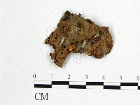登錄號:F0001309藏品圖，第1張