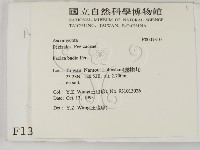 登錄號:F0001310藏品圖，第2張