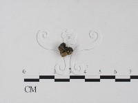 登錄號:F0001310藏品圖，第1張