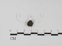 登錄號:F0001310藏品圖，第3張