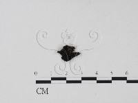 登錄號:F0001311藏品圖，第1張