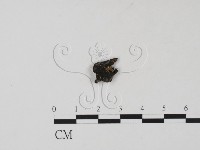 登錄號:F0001311藏品圖，第3張