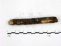 登錄號:F0001312藏品圖，第1張