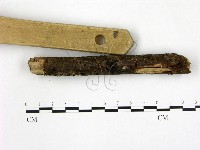 登錄號:F0001312藏品圖，第3張