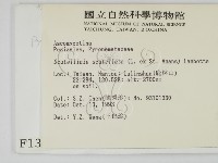 登錄號:F0001313藏品圖，第2張