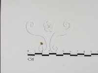 登錄號:F0001313藏品圖，第1張