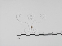 登錄號:F0001313藏品圖，第3張