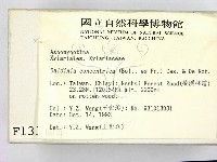 登錄號:F0001314藏品圖，第2張