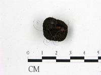 登錄號:F0001314藏品圖，第3張