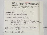 登錄號:F0001316藏品圖，第2張