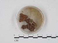 登錄號:F0001316藏品圖，第3張