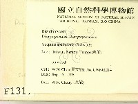 登錄號:F0001317藏品圖，第2張