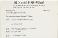 登錄號:F0001318藏品圖，第3張