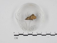 登錄號:F0001319藏品圖，第3張
