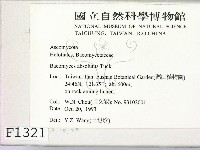 登錄號:F0001321藏品圖，第2張