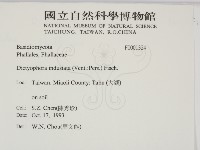 登錄號:F0001324藏品圖，第2張